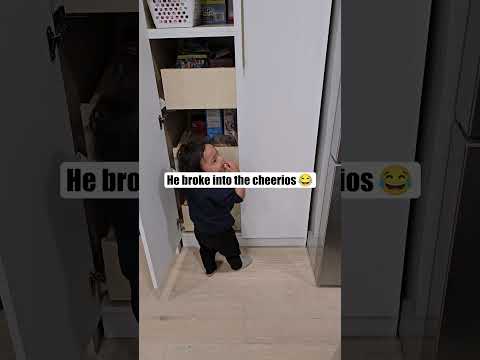 He can barely walk but broke into the Cheerios 😂