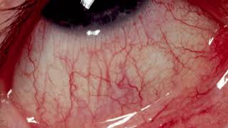 joji - plastic taste (slowed + reverb)