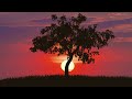 Michael Card — What Is A Tear lyrics
