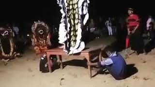 Download lagu Story wa barongan Dev'il Crew mp3