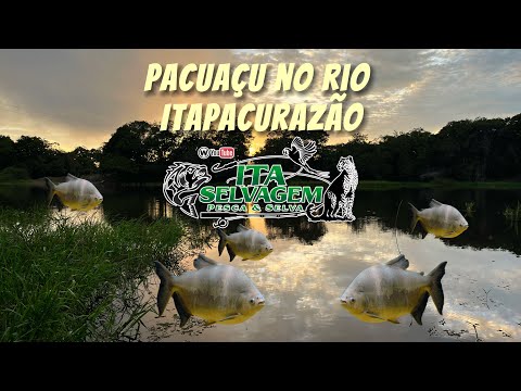 ITA SELVAGEM - Pescaria no RIO Itapacurá