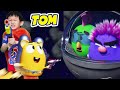 Pets In Space And More Nate Stories In My Talking Tom In Real Life