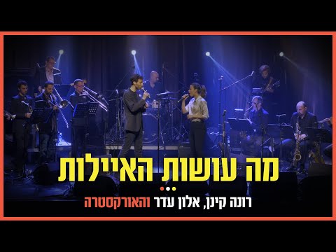 רונה קינן, אלון עדר והאורקסטרה - מה עושות האיילות