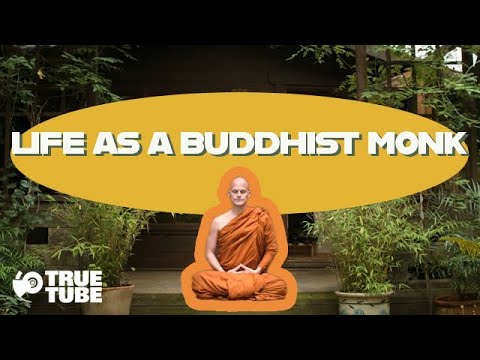 A Day in the Life of a Buddhist Monk - full of great self-isolation techniques