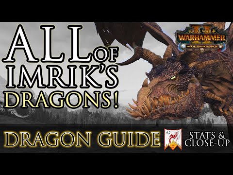 ALL of Imrik's DRAGONS! - Dragon Stats & Close-ups Warhammer 2 FLC