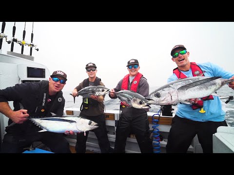 Albacore Tuna off the coast of Tofino