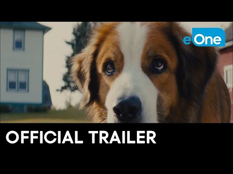 a dog's journey book