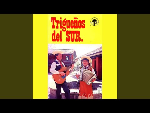 Casate Conmigo - Los Guardianes del Sur