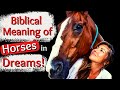 10 Reasons Why You're Dreaming About Horses/Biblical Meaning of Horses in Dreams!