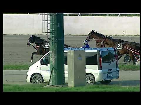 Napoli Trotto 12/12/2021 - 3ª corsa