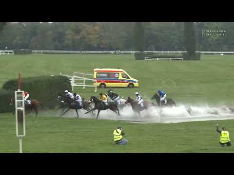 2022 dzień 11 gonitwa 8 - Nagroda Masiniego