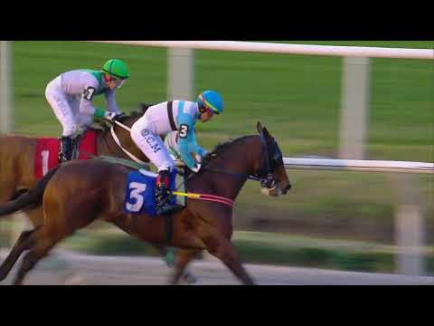 230917 c09 DIAMOND MAJESTIC