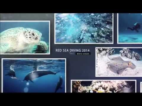 Red Sea Diving 2014