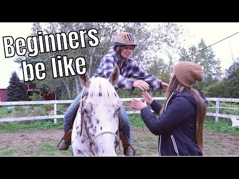 Types of BEGINNERS taking horse riding lessons 😂 | parody