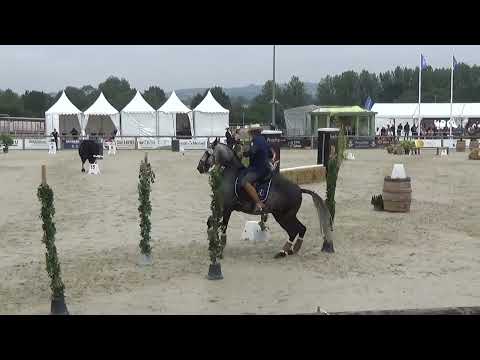World Championship Working Equitation 2022 in les Herbiers speed test Vergez Thierry on INCA