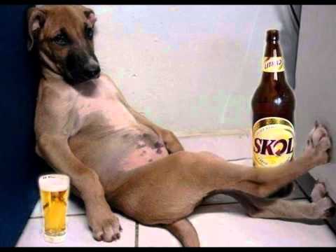 Rockolas Mix Cortavenas Vol.2 (Rockola Sin Moneda) Dj.Gedeús