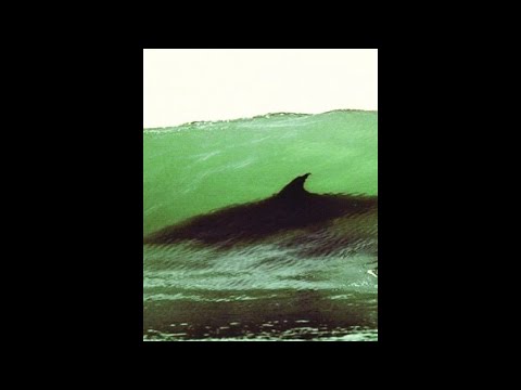 Hamza x Zed Type Beat - "Tsunami" (prod. dibi)