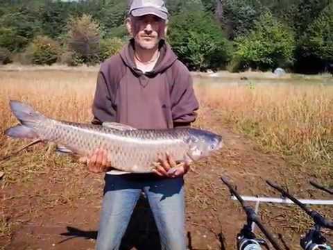 endurancr alin cincis 2013