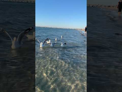 #relaxingmusic #oceanwaves #beach