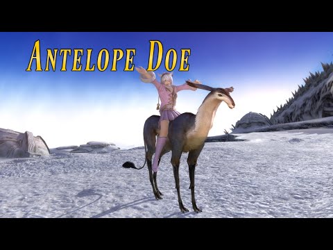 Antelope Doe Ffxiv