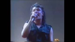 U2 - Gloria (Live Dortmund 1984)