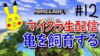 #012 マイクラ初心者、エンダードラゴン討伐までの記録。