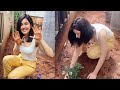 Raashi Khanna Accept Rashmika Mandana Challenge And Planted Saplings Tamanna Kajal Filmylooks