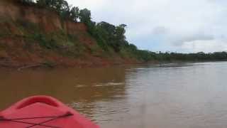 preview picture of video 'Aventura en kayak - Tambopata'