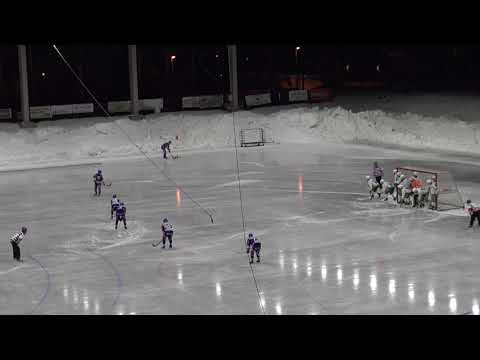 Botnia - Veiterä 15.02.2019 maalikooste