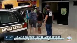 Bandidos trapalhões