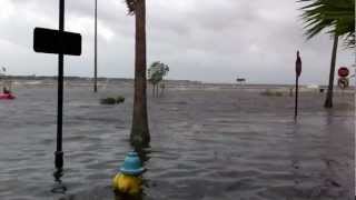 preview picture of video 'Tropical Storm Debby Floods Bayshore Boulevard in Tampa'