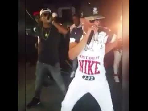 Braylin Gucci El Carnaval Vegano