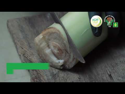 Agri Technology   Vermicomposting