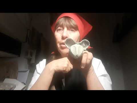 Återbruk med Mor Anna - Djur i äggkartong