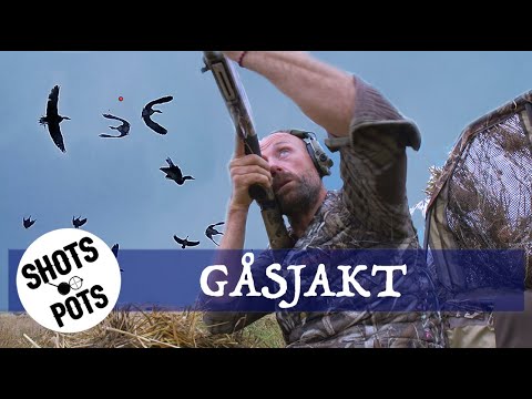 GOOSE HUNTING/GÅSJAKT (English)
