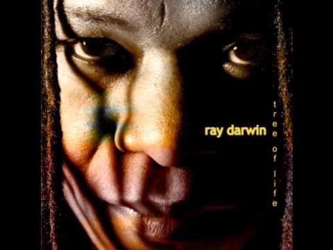 Ray Darwin - Kiss From A Rose (Reggae)