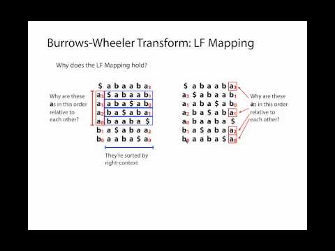 Burrows-Wheeler Transform and FM-Index Backward Search