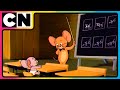 Tom Jerry Nibbles First Lesson In Mischief Best Animations Cat And The Mouse Cnindia
