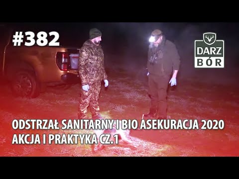 Darz Bór odc. 382 - "Odstrzał sanitarny i bio asekuracja 2020- cz 2- Akcja i Praktyka"