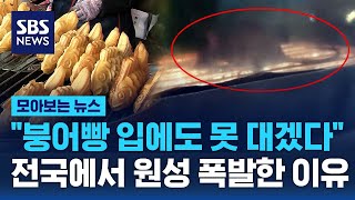 붕어빵 손꼽아 기다렸는데…"입에도 못 대겠다" 전국 원성 폭발 / SBS / 모아보는 뉴스