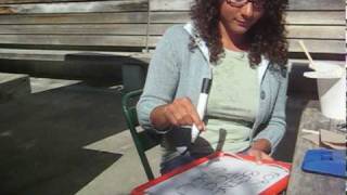 Lily Allen - Fuck You Music Video