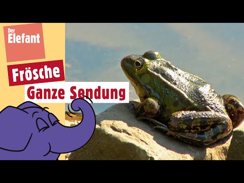 Wie hüpft ein Frosch? | Der Elefant | WDR