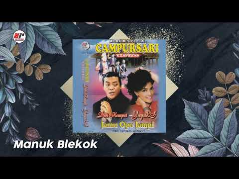 Yayuk Khan & Didi Kempot - Manuk Blekok (Official Audio)