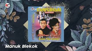 Download lagu Yayuk Khan & Didi Kempot - Manuk Blekok mp3