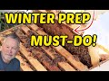 Beekeeping How To Change Frames Around For Winter Survival