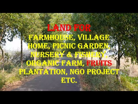  Agricultural Land 5 Bigha for Sale in Diamond Harbour, South 24 Parganas