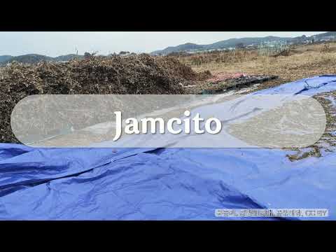 Jamcito,  레게,  펑키,  Cumbia Deli,  3:33, 2025년 3월