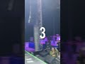 Countdown With Us