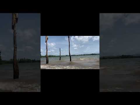 Chandrika Lake Journey Embilipitiya. #shorts #viral #trending #new #foryou  #travel  #lake