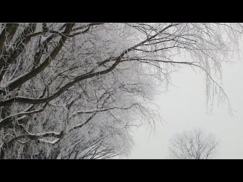 A Hazy Shade of Winter - Simon & Garfunkel